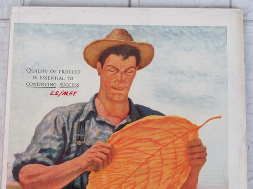 Life Magazine November 4, 1946 Palestine - Picture 6 of 7