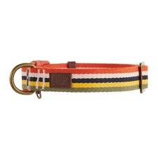 Top Paw Orange Multi Colored Striped Adjustable Fashion Dog Collar X-Small