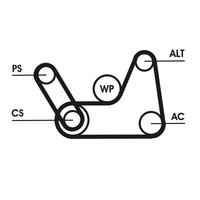 Continental Ctam Keilrippenriemensatz (6PK1019 Elast T1) FüR Ford Fusion Fiesta