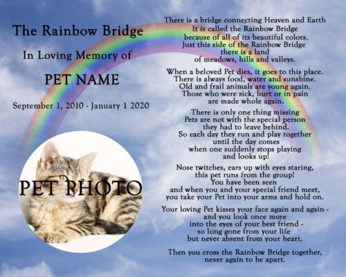 Personalized Rainbow Bridge Pet Loss Memorial Poem Dog Cat 8x10 Print with  PHOTO | eBay