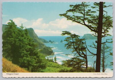 White Waves Crash Into Oregon Coast~Trees On Hillside~Cape Mears~Continental PC
