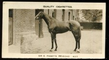 Tobacco Card, Pattreiouex, ANIMALS & SCENES, 1925, Sir E Paget Re-Echo, #427