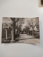 Cartolina Colonnella Via Roma Anni 50 Teramo