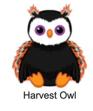 Webkinz Classic Harvest Owl Code Only - Virtual Pet Kinz