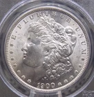 1900 "P" Morgan SILVER Dollar $1 PCGS MS64 #988 🔥OGH🔥 Green Unc BU ECC&C, Inc.