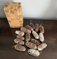 16PCS Snow Pinecone Ornaments, Large Spruce Pinecones Hanging Pinecones