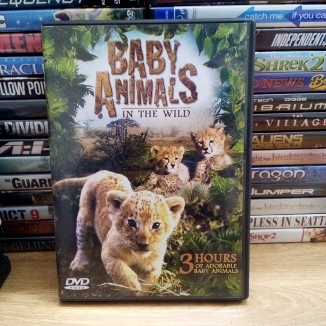 Baby Animals in the Wild (DVD, 2012) DISK ONLY, NO CASE,ART