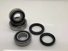 Honda CBF600 (EURO) Rear Wheel Bearings & Seals 2004 - 2010