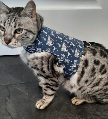 KATZENGESCHIRR/WANDERJACKE von LAND O BURNS BENGALS SCHOTTISCHE HOCHLANDKÜHE LARGE