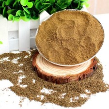 Ajmod Powder   Wild Celery Apium Graveolens 
