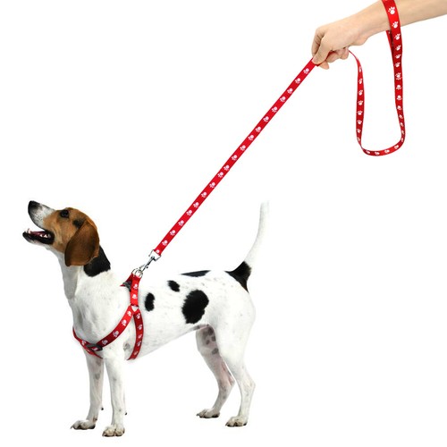 Arnés para perro con correa arnés para el pecho Step-In arnés para cachorros puntos S-L - Imagen 9 de 16
