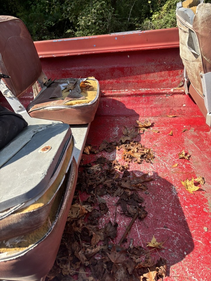 evinrude outboard motors for sale eBay