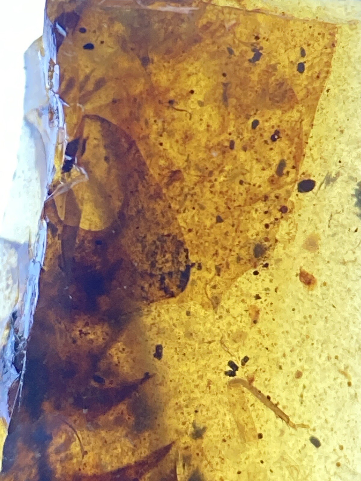 Picture 4 of 5