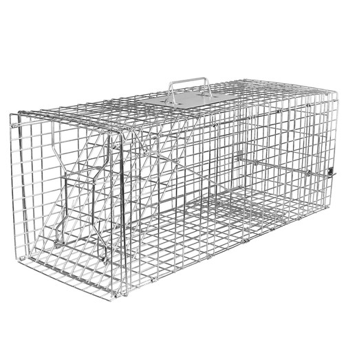 Large 1Door Humane Animal Trap for Raccoons Cats Groundhogs Foxes
