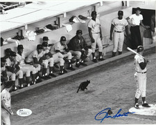 RON SANTO Signed Chicago CUBS BLACK CAT 8X10 PHOTO JSA Auth