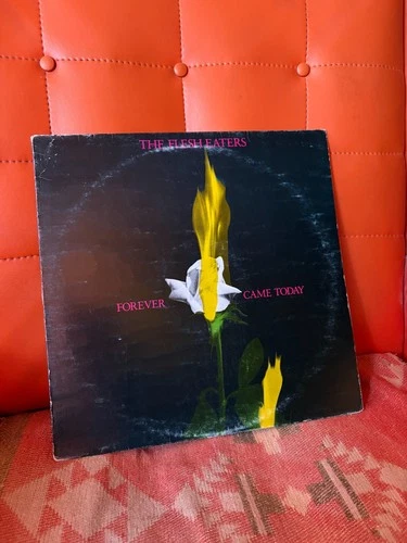 The Flesh Eaters, Forever Came Today Vinyl LP 1982 1st Press Italy - product listing photo