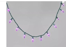 Holiday Time 100 Warm White Mini LED Lights with green Wire Indoor/Outdoor
