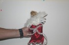 Bild 4 von 8