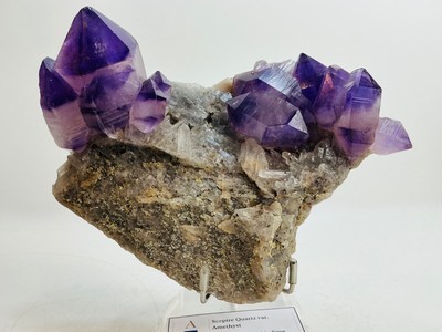 Ein Zepter Quarz var. Amethyst, District d'Ambilobe, Region Diana, Madagaskar