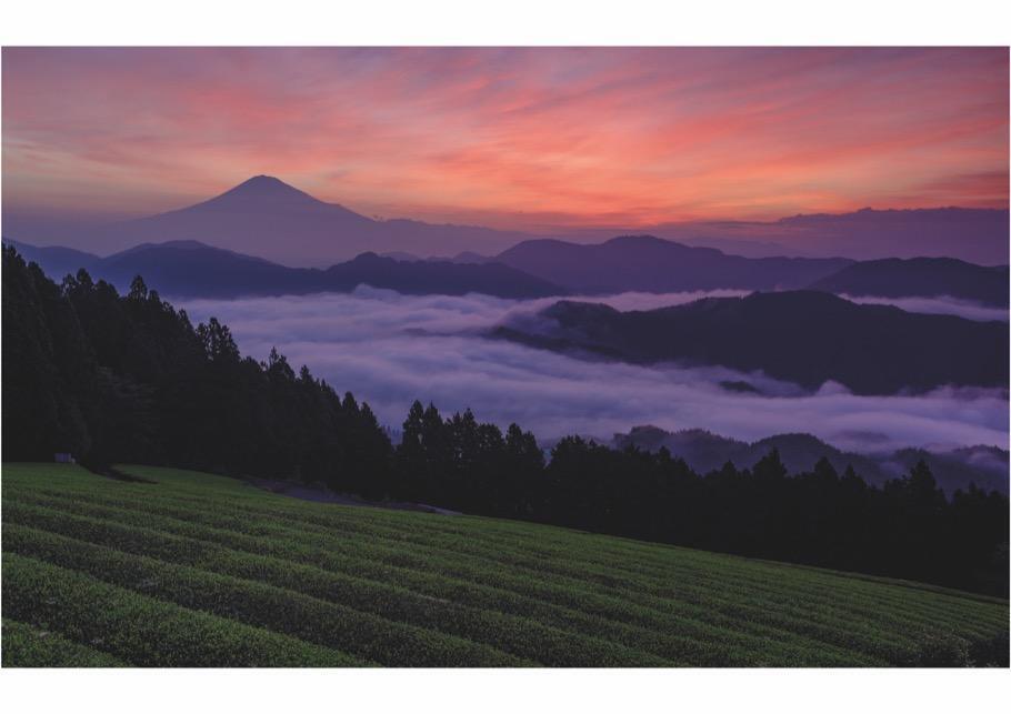 Thumbnail - Japan Peter Tasker Buch 320 S. Deutsch 2020 Frederking & Thaler