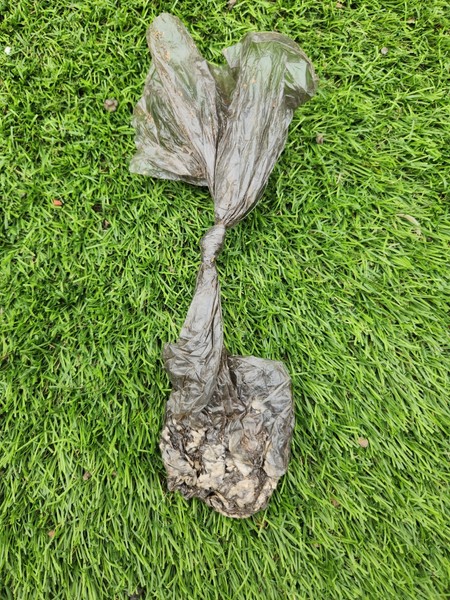 Fermented Dog Poop