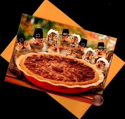 THANKSGIVING Squirrels Pilgrims Hats Pecan Pie Nuts - Greeting Card W/ TRACKING