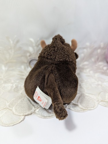 TY Beanie Baby - ROAM the Brown Buffalo 🦬 1997, MINT Vintage Rare Retired (6in) - Picture 3 of 6