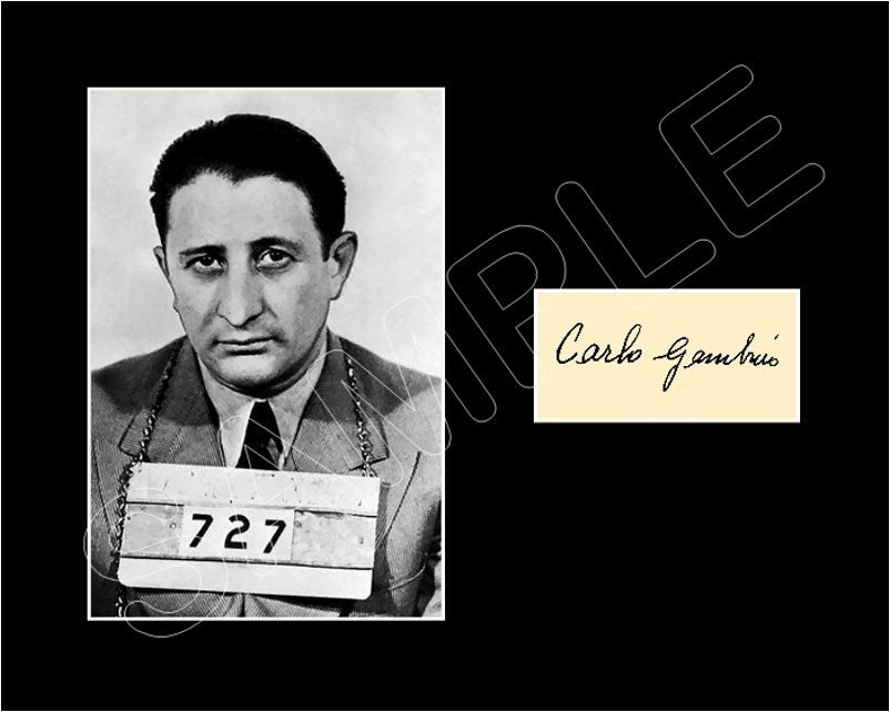 Barnslig Gambino Fotografering Carlo Gambino Hi Res Stock Photography