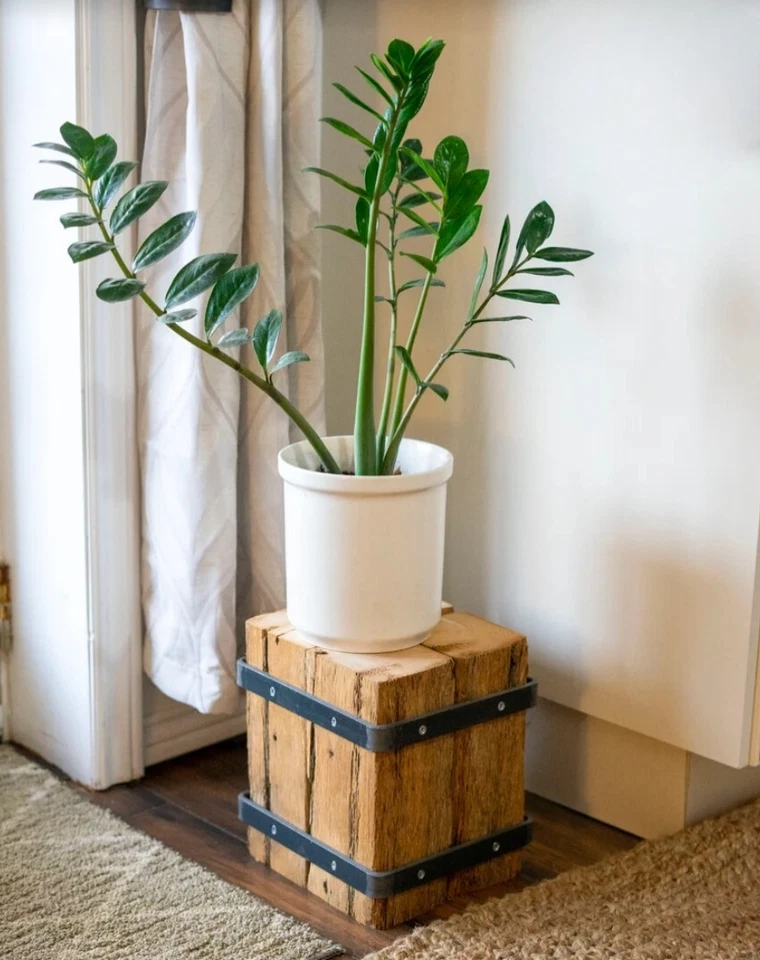 Metal Bands Antique Lumber Stand Red Cedar Barn Wood Rustic Floating Shelf Decor - Image 2 of 4