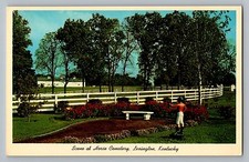 Lexington Kentucky KY Horse Cemetery Calumet Farm Curt Teich Postcard 1960