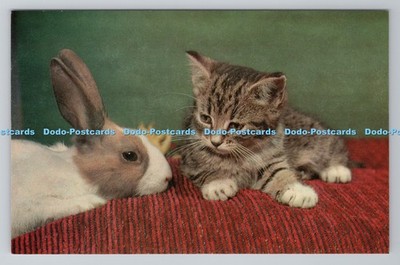 R781598 Cat and Rabbit J Salmon Sevenoaks