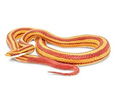 Safari Corn Snake figure 100073