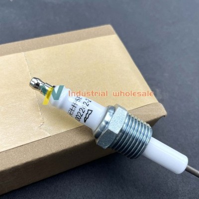 1PCS New test electrode spark plug 100022422