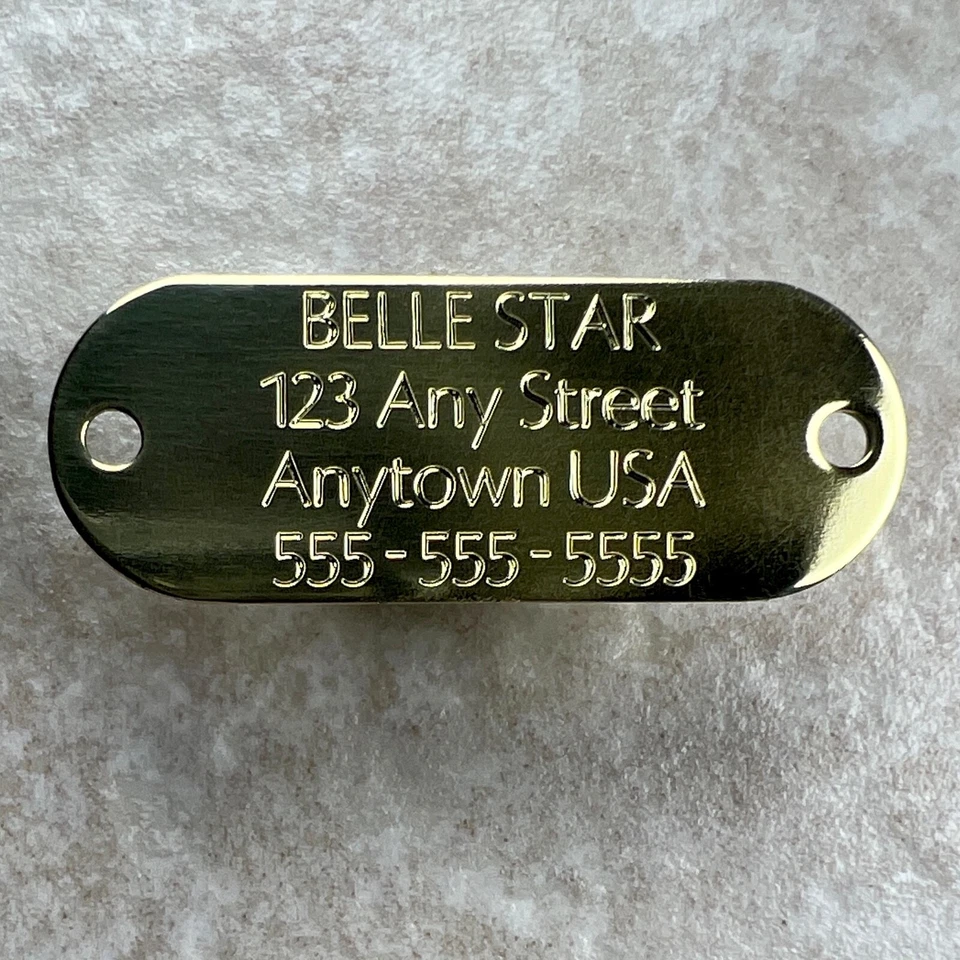 Etiquetas de perro grabadas personalizadas collar de perro etiquetas de identificación PLACA DE NOMBRE LATÓN MEDIANO Foto 2 de 4