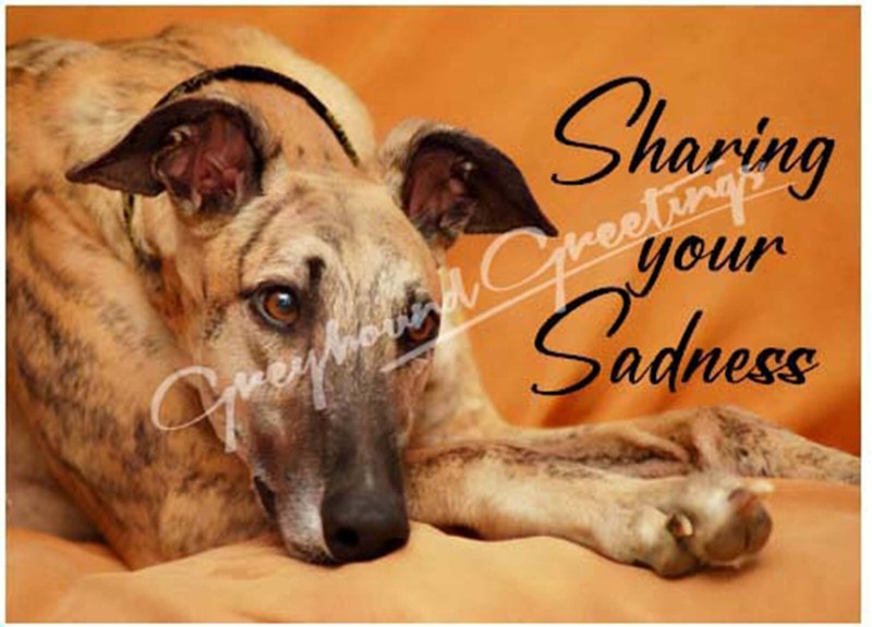 Sharing Your Sadness Greyhound Dog Sympathy Cards, set of 4, with envelopes