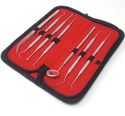 1 Set Dental Pick & Mirror Tool Sculpture Instrument Oral Kit Tooth Teeth - PICK