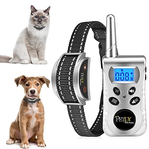 Cat top discipline collar