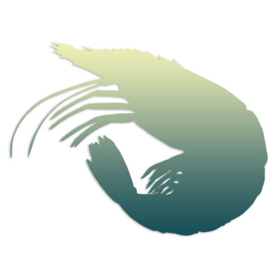 Shrimp - Decal Sticker - Multiple Patterns & Sizes - ebn7016