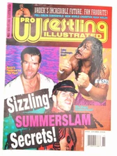 PRO WRESTLING ILLUSTRATED NOV 1995  - HULK HOGAN / SABU / VADOR / SCOTT HALL