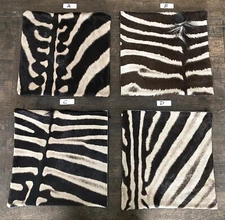 16"x16" Genuine Zebra Skin Pillow Cover with Leather Backing |Throw Pillow B#8