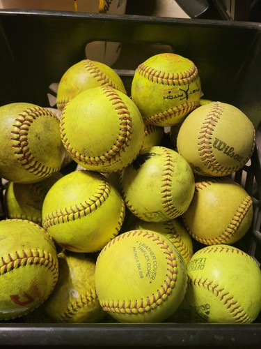 Softball : Et de 14 pour les « Comanches » - Ville de Saint-Raphaël