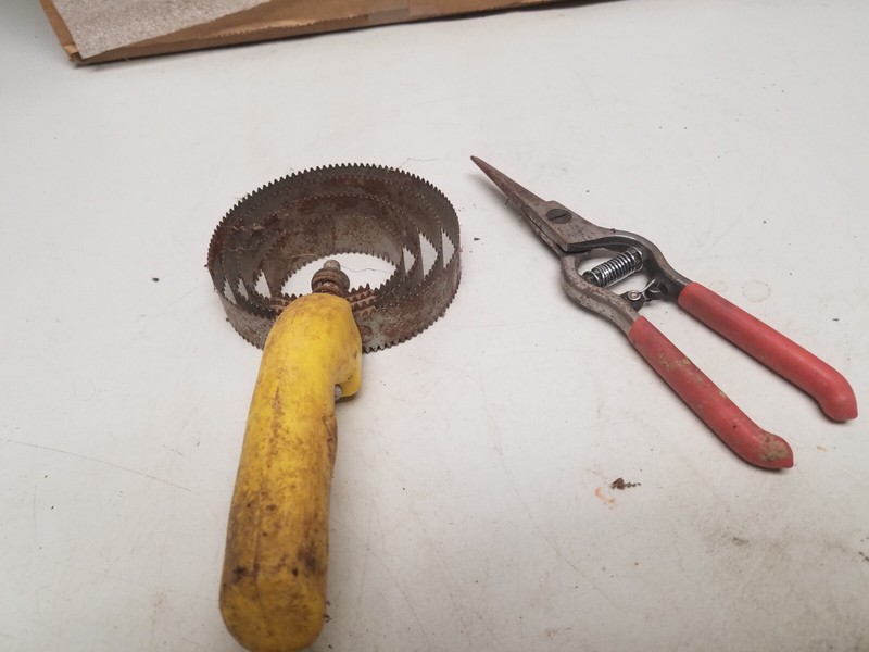 Curry Comb and Clipper