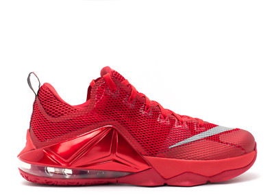 lebron 12s low