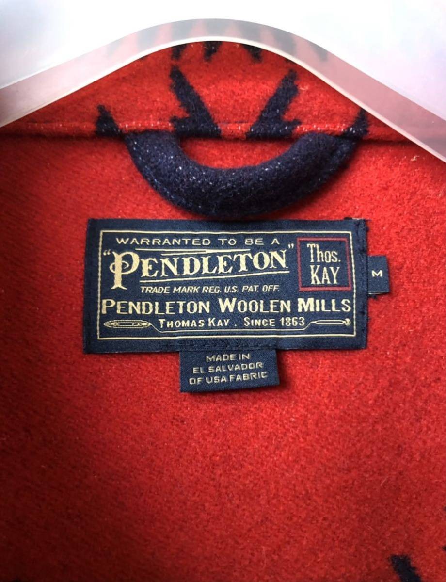 Pendleton Thomas Kaye Collection Wool Native Patt… - image 5