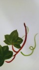 Joni Original Hand Painted Under Glaze Ivy Leaf Dinner Plate — photo 5