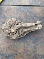 Natural Driftwood for Plants Terrarium Taxidermy Art Projects