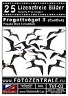 Bild 2 von 8