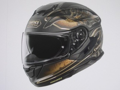 Shoei Motorradhelm GT Air 3 - Nile TC 9 - Gr. L - NEU !