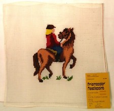  NEEDLEPONT 'GIRL ON HORSE' PROJECT 16 x 16 Finishing Instructions Included