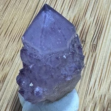 Small Amethyst  SPIRIT QUARTZ Cactus Crystal CC5005